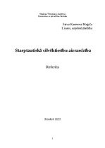 Research Papers 'Starptautiskā cilvēktiesību aizsardzība', 1.