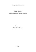 Research Papers 'Zīmols "Laima"', 1.