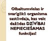 Presentations 'Olbaltumvielu funkcijas', 2.