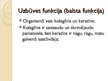 Presentations 'Olbaltumvielu funkcijas', 12.