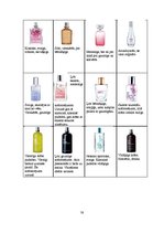Research Papers 'Patērētāju attieksme pret "The Body Shop" smaržu iepakojumu', 38.