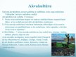 Presentations 'Zivsaimniecība Latvijā', 16.