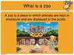 Presentations 'Keeping Wild Animals in Zoos', 2.