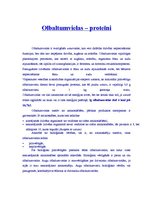 Research Papers 'Olbaltumvielas - proteīni', 1.