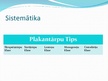 Presentations 'Plakantārpi', 3.