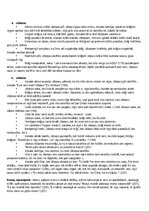 Summaries, Notes 'Rainis “Jāzeps un viņa brāļi” konspekts + pamatojumi ar citātiem', 3.