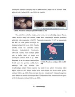 Research Papers 'Parazitoloģija Passalurus ambiguus', 6.