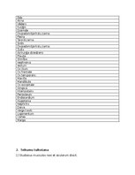 Summaries, Notes 'Treniņa lapa, lai sagatavotos latīņu valodas pārbaudas darbam', 2.