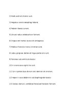 Summaries, Notes 'Treniņa lapa, lai sagatavotos latīņu valodas pārbaudas darbam', 3.