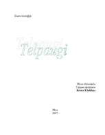 Research Papers 'Telpaugi', 1.