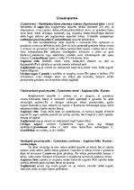 Summaries, Notes 'Dažādas mazpazīstamas sēnes', 14.