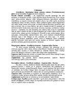 Summaries, Notes 'Dažādas mazpazīstamas sēnes', 16.