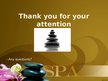 Presentations 'Hot Stones Spa Therapy', 13.