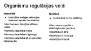 Presentations 'Kā notiek organisma darbības regulācija', 4.
