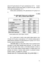 Term Papers 'SIA "Radio Sigulda" saimnieciskās darbības analīze', 30.