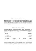 Research Papers 'Kiberdrošība Latvijā un Eiropas Savienībā: draudi, risinājumi un attīstības pers', 6.