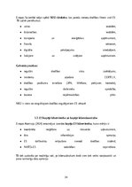 Research Papers 'Kiberdrošība Latvijā un Eiropas Savienībā: draudi, risinājumi un attīstības pers', 25.