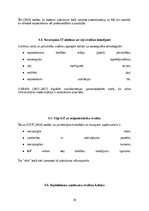 Research Papers 'Kiberdrošība Latvijā un Eiropas Savienībā: draudi, risinājumi un attīstības pers', 30.