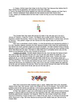 Summaries, Notes 'Celebrating Christmas and New Year Around the World', 3.