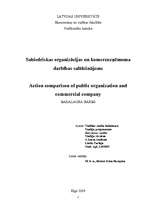 Term Papers 'Sabiedriskas organizācijas un komercuzņēmuma darbības salīdzinājums', 2.