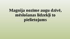 Presentations 'Magnija nozīme augu dzīvē, mēslošanas līdzekļi to pielietojums', 1.