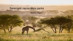 Presentations 'Serengeti Nacionālais parks', 1.