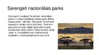Presentations 'Serengeti Nacionālais parks', 2.