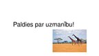 Presentations 'Serengeti Nacionālais parks', 10.
