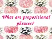 Presentations 'Prepositions', 16.