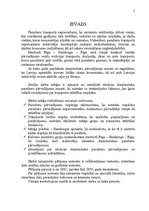 Research Papers 'Starptautiskie pasažieru pārvadājumi Rīga – Hamburga – Rīga', 3.