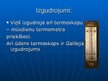 Presentations 'Renesanses pārstāvji zinātnes jomā - Galileo Galilejs un Nikolajs Koperniks', 9.