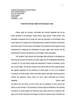 Research Papers 'Protection of Human Rights in the European Union / Cilvēktiesību aizsardzība Eir', 1.