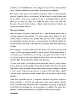 Summaries, Notes 'Doku Atis “Mans dzīves rīts”', 11.
