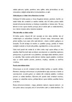 Essays 'M.Cielēna ‘Pasakas par brīnummazajiem’: tēlu simbolika, sižeta struktūra un peda', 2.