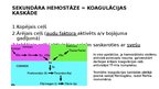 Presentations 'Hemostāzes traucējumi intensīvajā terapijā un anestezioloģijā. Koagulācijas sist', 4.