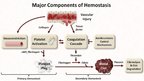 Presentations 'Hemostāzes traucējumi intensīvajā terapijā un anestezioloģijā. Koagulācijas sist', 6.