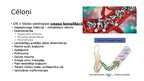 Presentations 'Hemostāzes traucējumi intensīvajā terapijā un anestezioloģijā. Koagulācijas sist', 32.