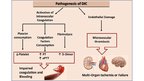 Presentations 'Hemostāzes traucējumi intensīvajā terapijā un anestezioloģijā. Koagulācijas sist', 34.