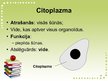 Presentations 'Šūnas organoīdi', 4.