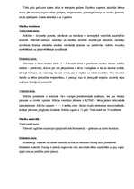 Summaries, Notes 'Alternatīvo skolu pedagoģisko procesu organizācijas analīze', 4.