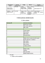 Research Papers 'Programmatūras projekta pārvaldības plāns (PPPP)', 14.