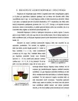 Research Papers 'Begoniju aizsardzības projekts begoniju audzēšanai modeļsaimniecībā', 9.