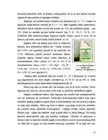 Research Papers 'Begoniju aizsardzības projekts begoniju audzēšanai modeļsaimniecībā', 10.