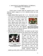 Research Papers 'Begoniju aizsardzības projekts begoniju audzēšanai modeļsaimniecībā', 12.
