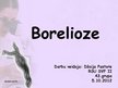 Presentations 'Borelioze', 1.