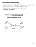 Summaries, Notes 'Molekulārā bioloģija un ģenētika', 53.
