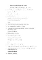 Summaries, Notes 'Kāzu scenārijs: svētku prieks, mīlestība un neaizmirstami mirkļi', 19.