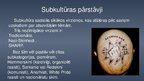 Presentations 'Subkultūra "Skinhedi"', 5.