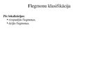 Presentations 'Flegmona', 9.