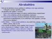 Presentations 'Zivsaimniecības nozare Latvijā', 13.
